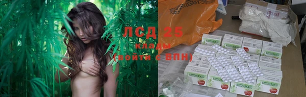 ешки Белокуриха