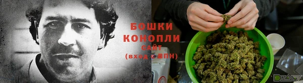 ешки Белокуриха