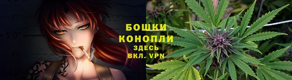 ешки Белокуриха