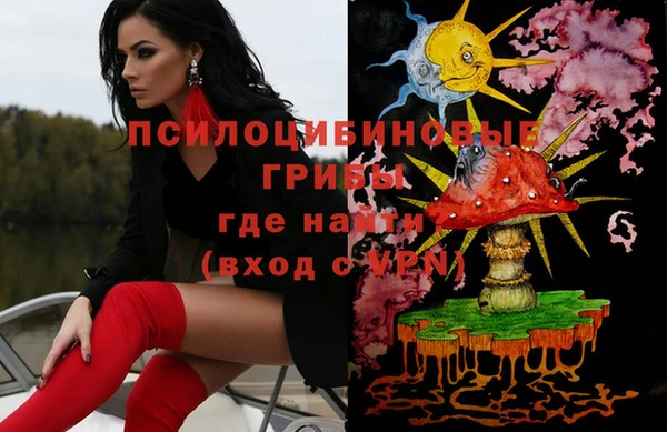 ешки Белокуриха