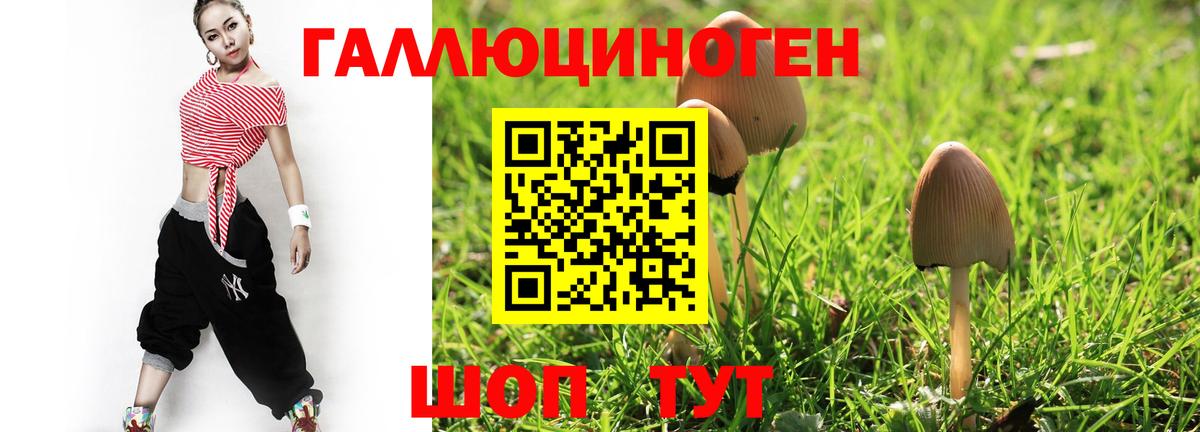 Видное  Галлюциногенные грибы MAGIC MUSHROOMS  продажа наркотиков  Псилоцибиновые грибы MAGIC MUSHROOMS  Вход с VPN 